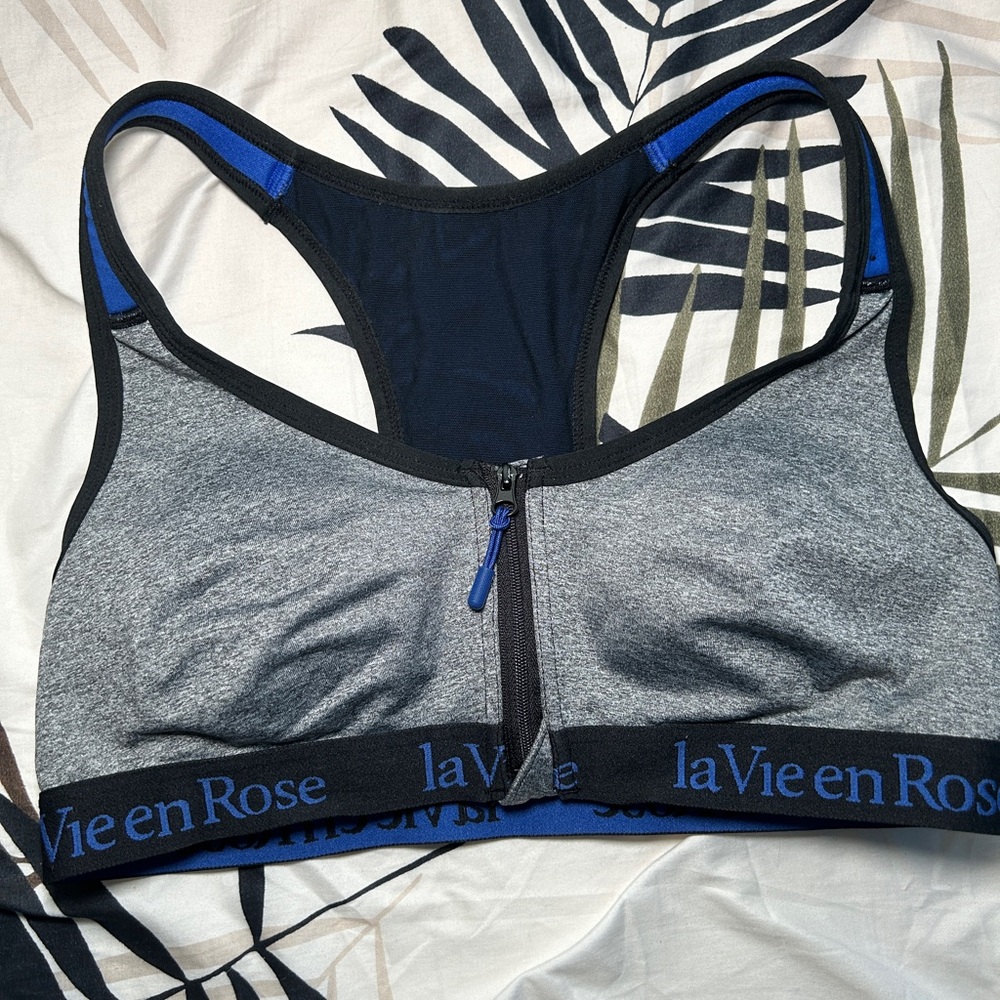 La Vie en Rose Gray and Blue Sports Bra